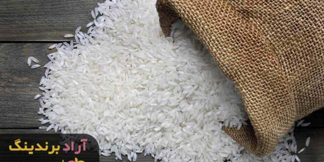 قیمت برنج فجر