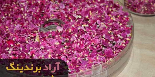 گل محمدی خشک در مشهد
