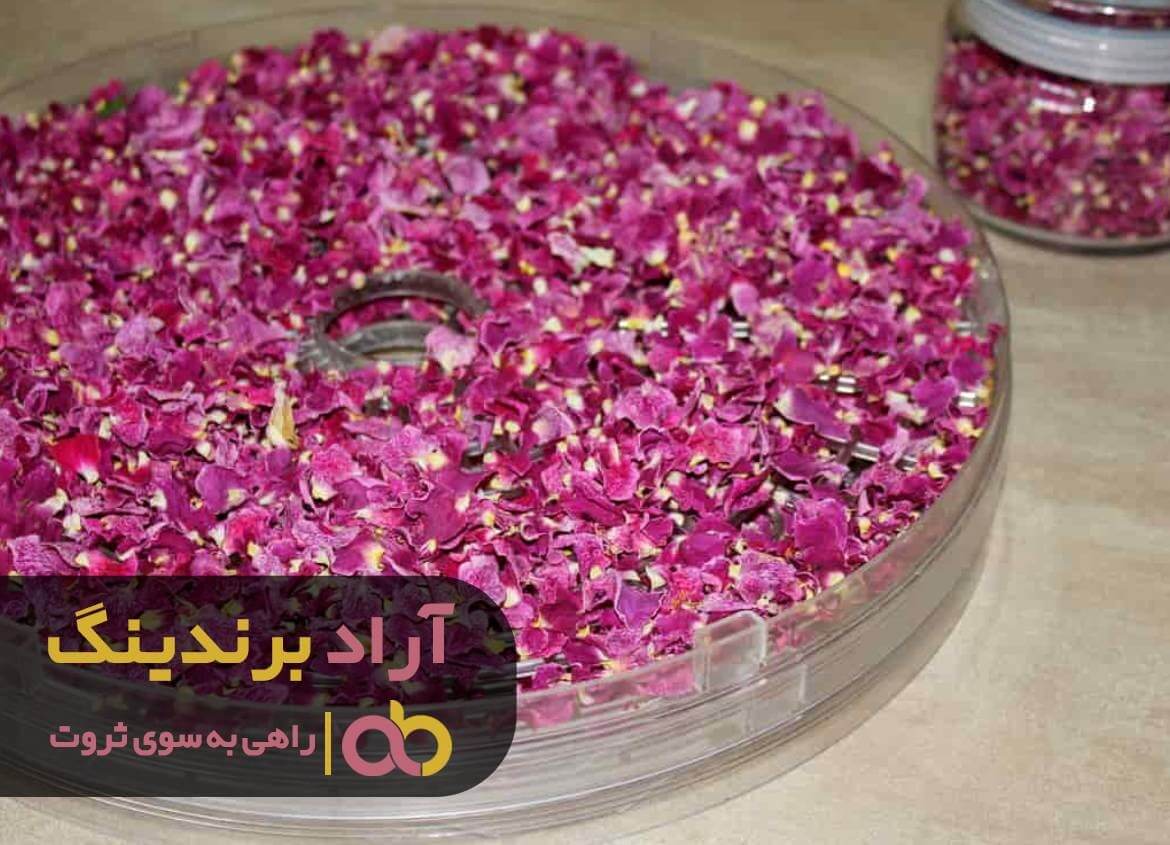 گل محمدی خشک در مشهد