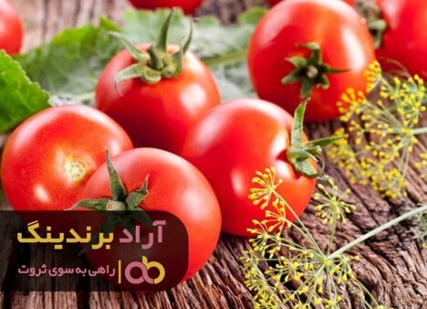 گوجه فرنگی در عراق امروز