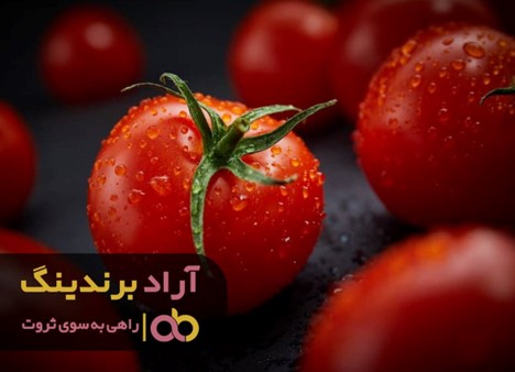 گوجه فرنگی در میدان تره بار اصفهان
