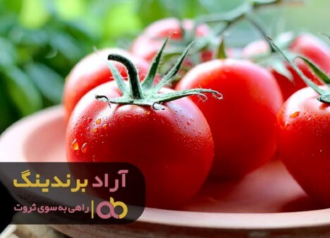 گوجه فرنگی صادراتی