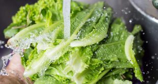 بهترین روش ضدعفونی سبزی خوردن