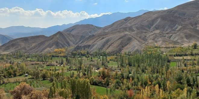 قیمت زمین دماوند